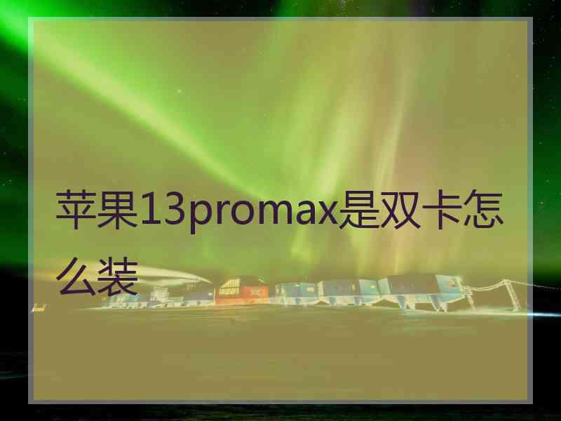 苹果13promax是双卡怎么装