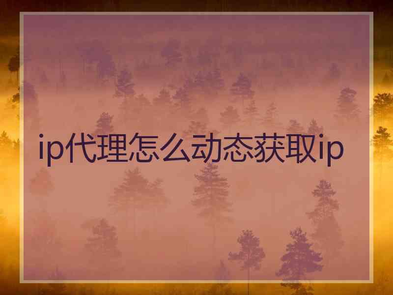 ip代理怎么动态获取ip