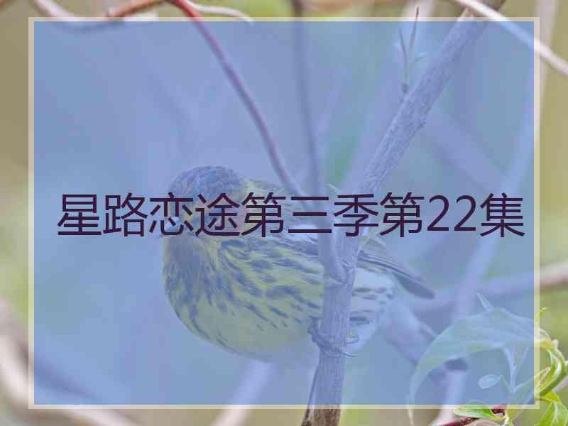 星路恋途第三季第22集