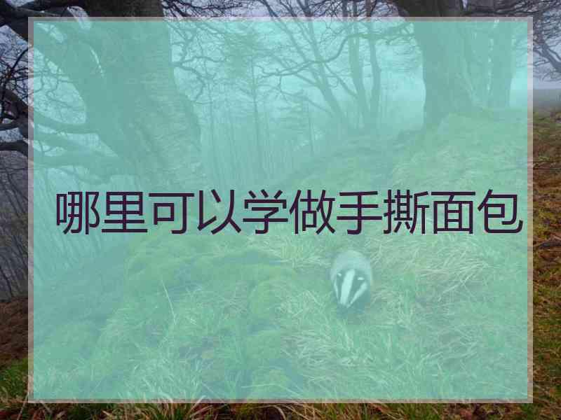 哪里可以学做手撕面包