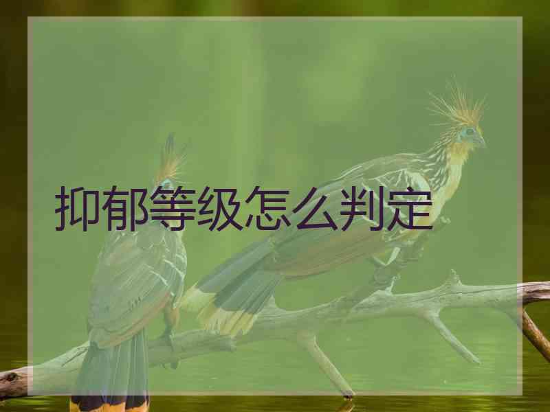 抑郁等级怎么判定