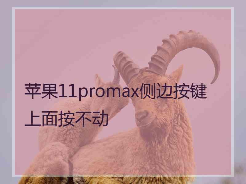 苹果11promax侧边按键上面按不动