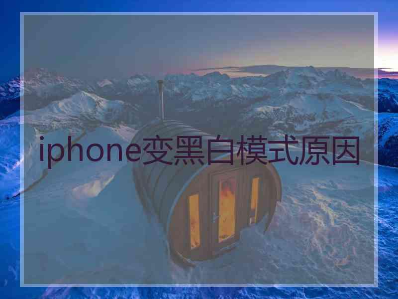 iphone变黑白模式原因