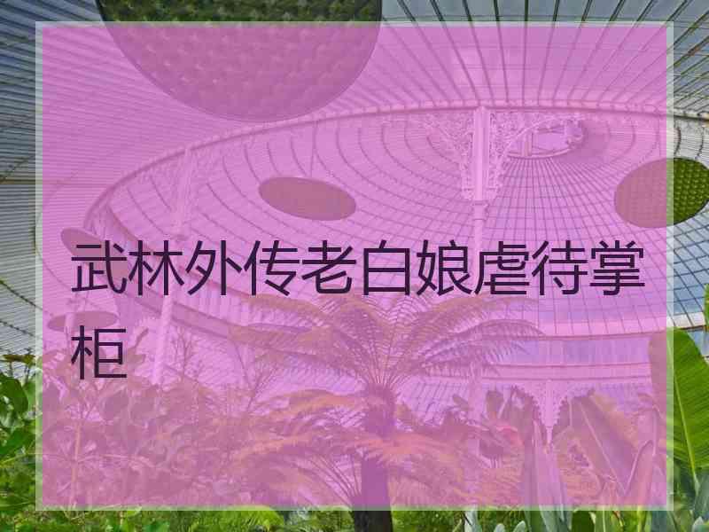 武林外传老白娘虐待掌柜