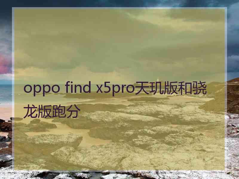 oppo find x5pro天玑版和骁龙版跑分