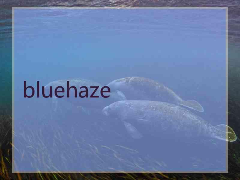 bluehaze