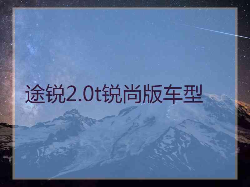 途锐2.0t锐尚版车型