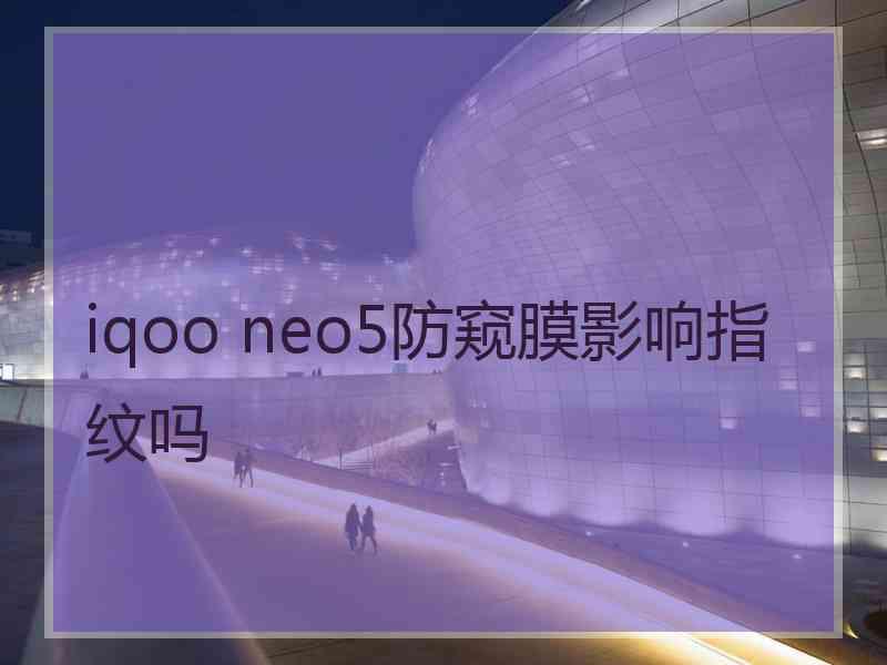 iqoo neo5防窥膜影响指纹吗