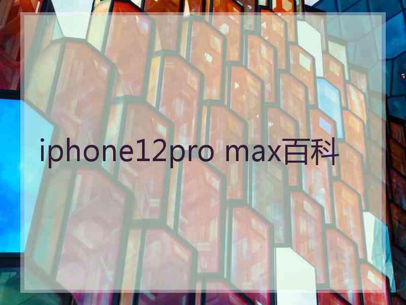 iphone12pro max百科