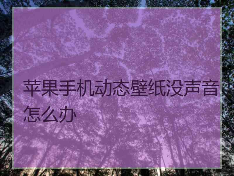 苹果手机动态壁纸没声音怎么办