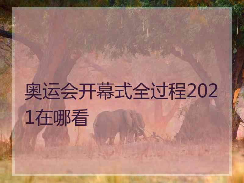 奥运会开幕式全过程2021在哪看