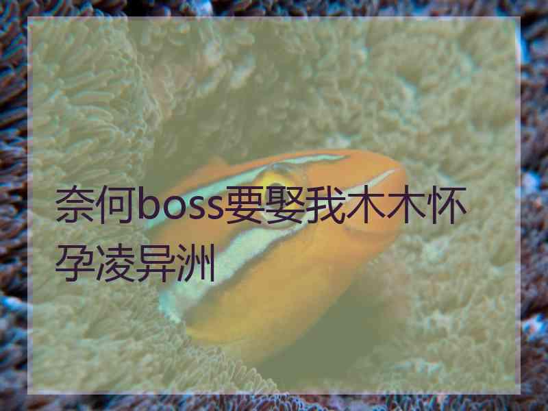 奈何boss要娶我木木怀孕凌异洲