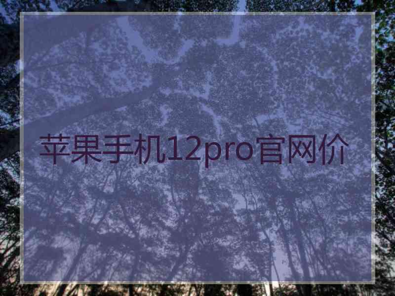 苹果手机12pro官网价