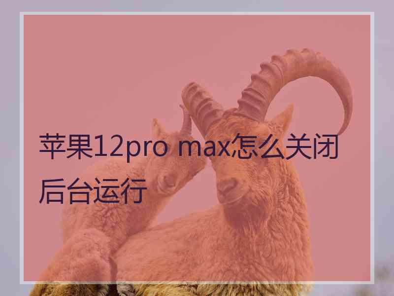 苹果12pro max怎么关闭后台运行