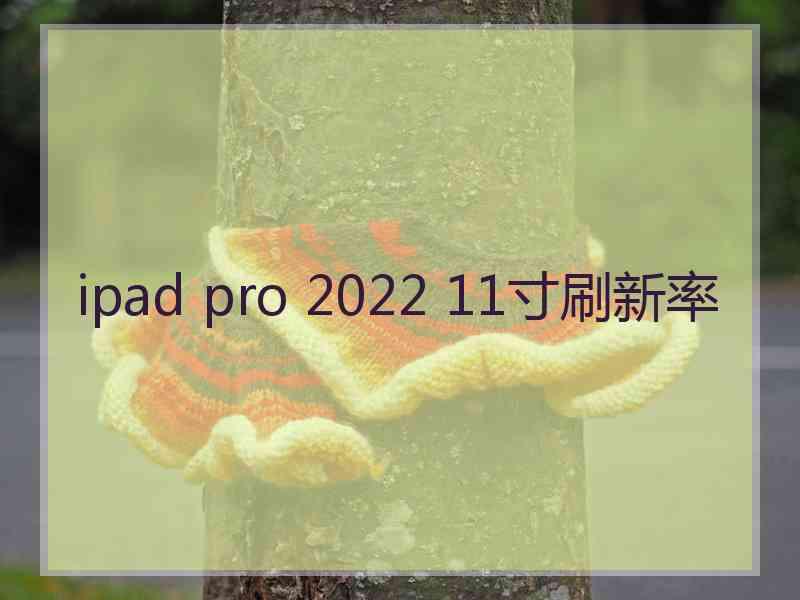 ipad pro 2022 11寸刷新率