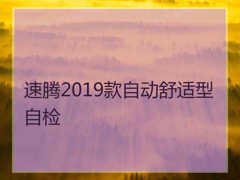 速腾2019款自动舒适型自检