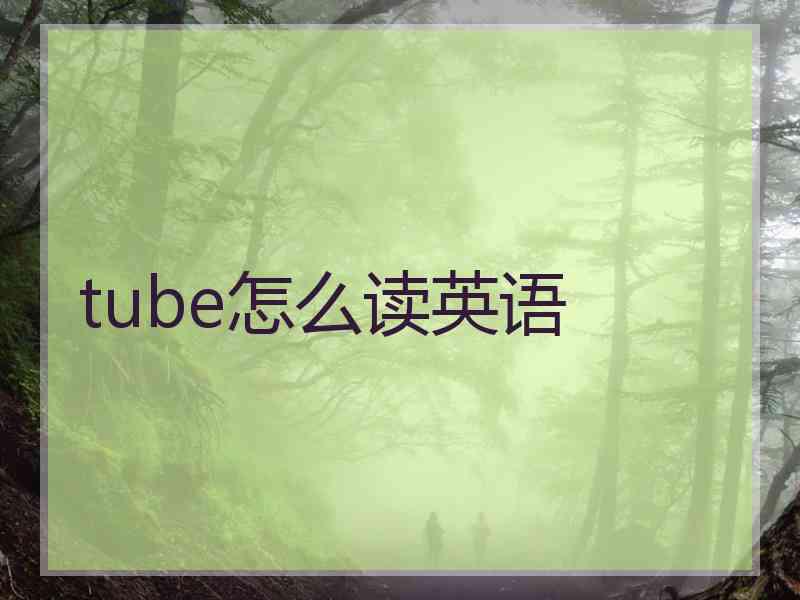 tube怎么读英语