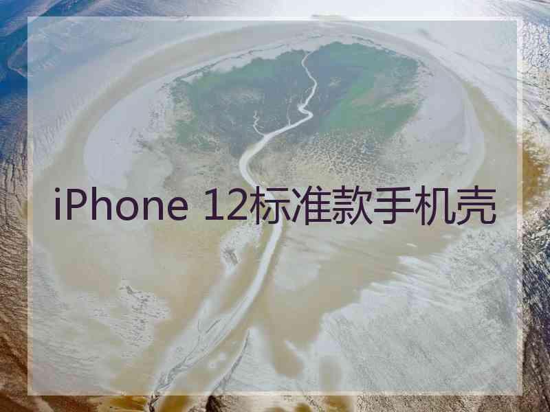 iPhone 12标准款手机壳