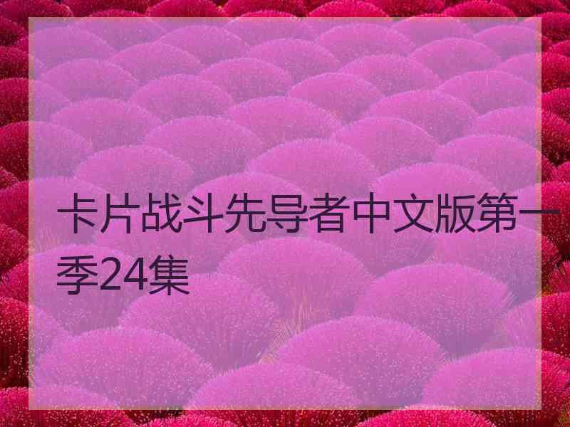 卡片战斗先导者中文版第一季24集