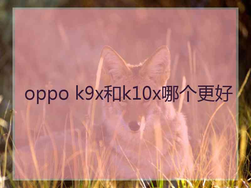 oppo k9x和k10x哪个更好