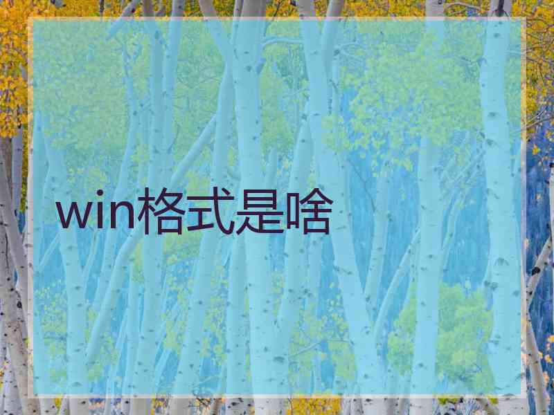 win格式是啥