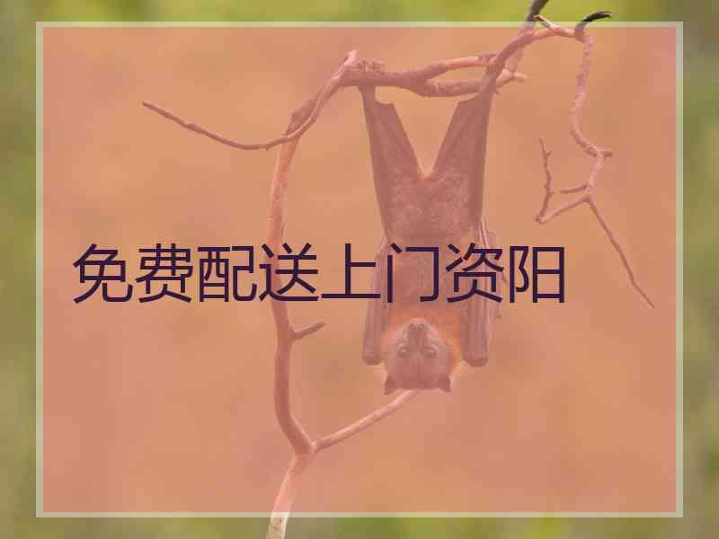 免费配送上门资阳