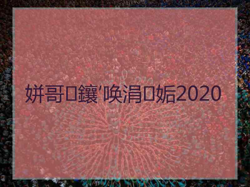 姘哥鑲′唤涓姤2020