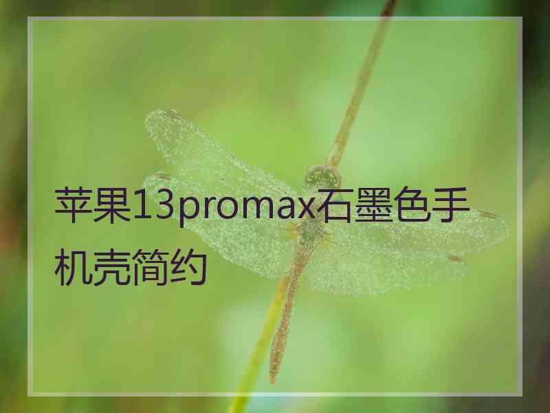 苹果13promax石墨色手机壳简约