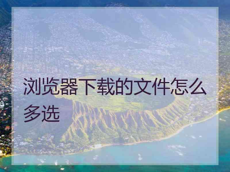 浏览器下载的文件怎么多选