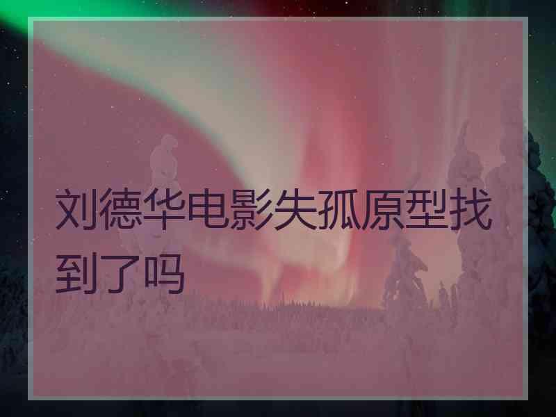 刘德华电影失孤原型找到了吗