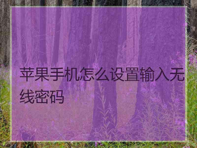 苹果手机怎么设置输入无线密码