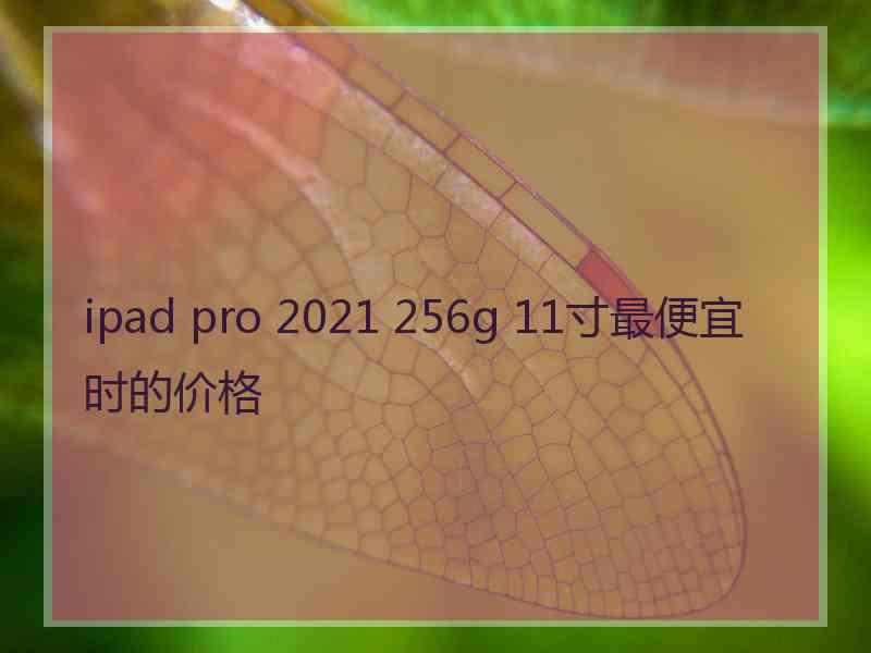 ipad pro 2021 256g 11寸最便宜时的价格