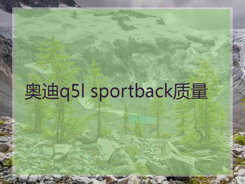 奥迪q5l sportback质量