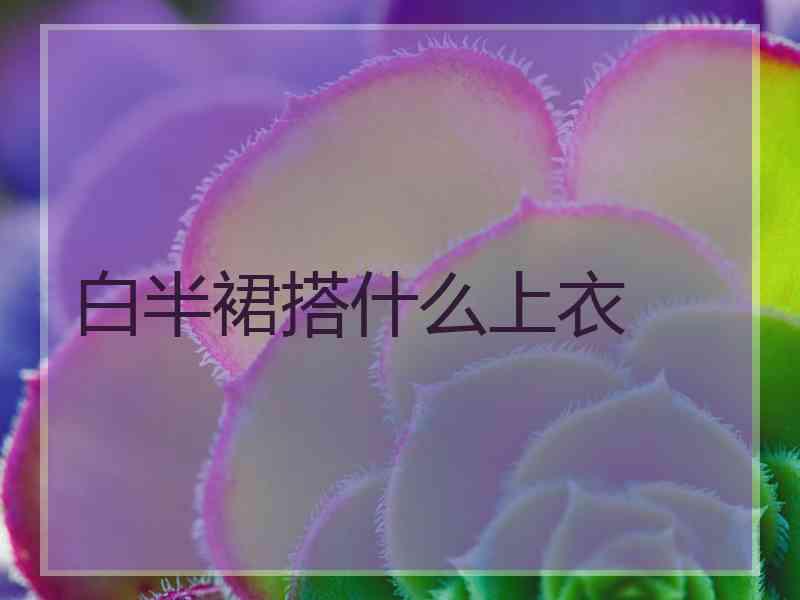 白半裙搭什么上衣