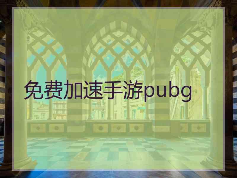 免费加速手游pubg