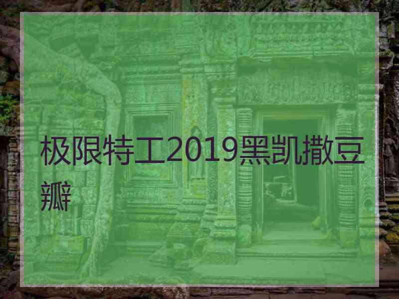 极限特工2019黑凯撒豆瓣