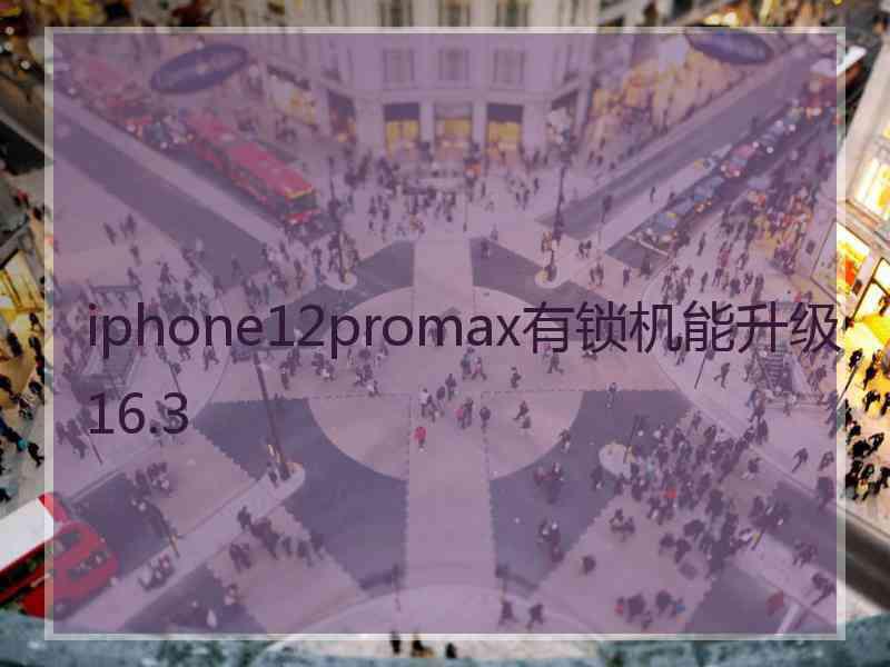 iphone12promax有锁机能升级16.3