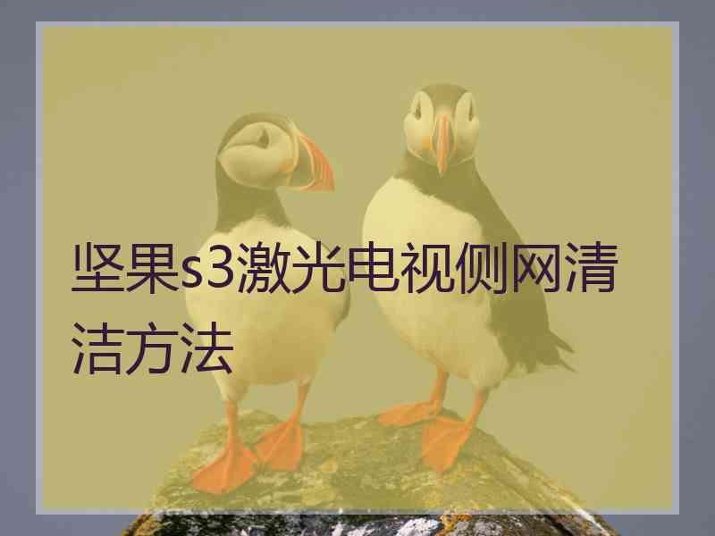 坚果s3激光电视侧网清洁方法