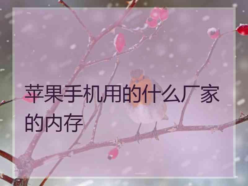 苹果手机用的什么厂家的内存