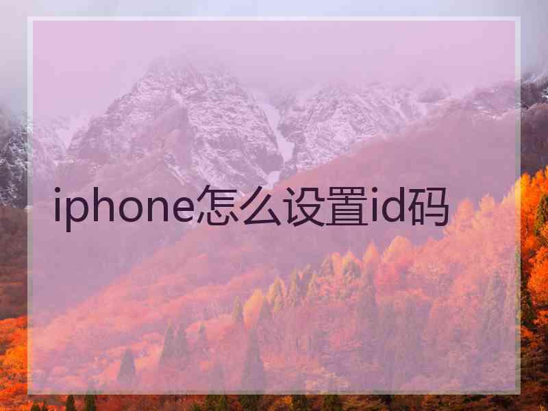 iphone怎么设置id码