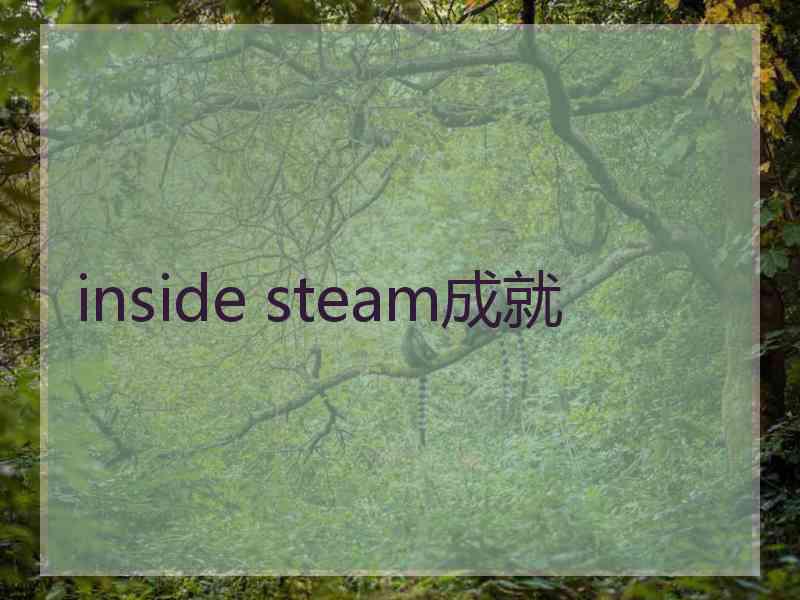 inside steam成就