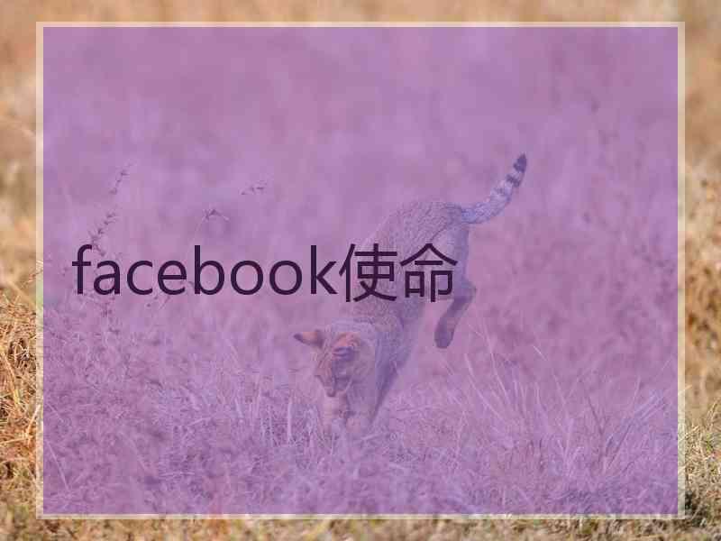 facebook使命