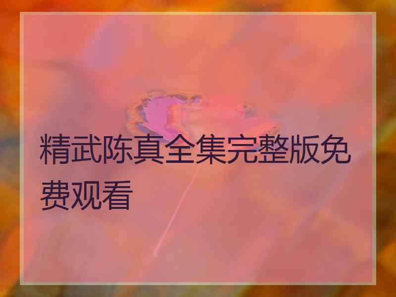 精武陈真全集完整版免费观看