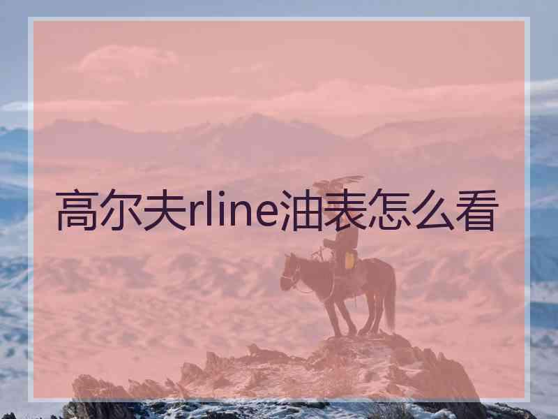 高尔夫rline油表怎么看