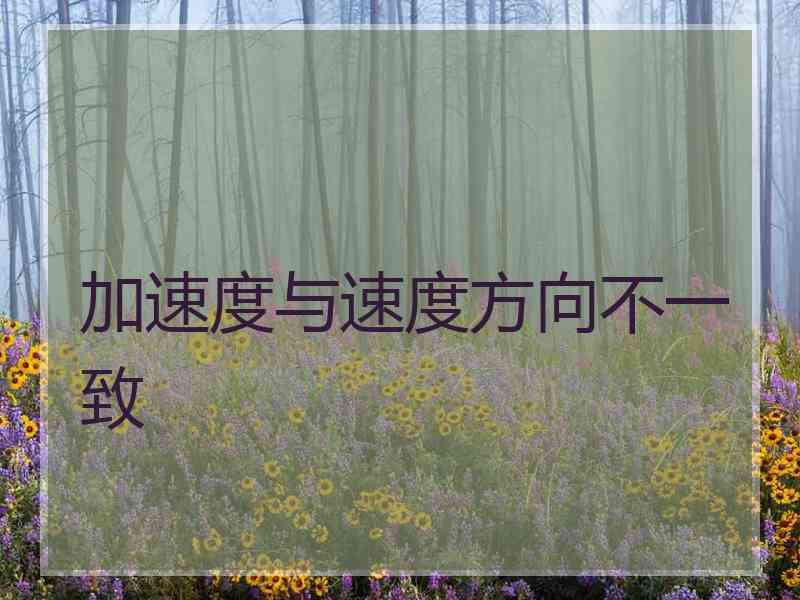 加速度与速度方向不一致