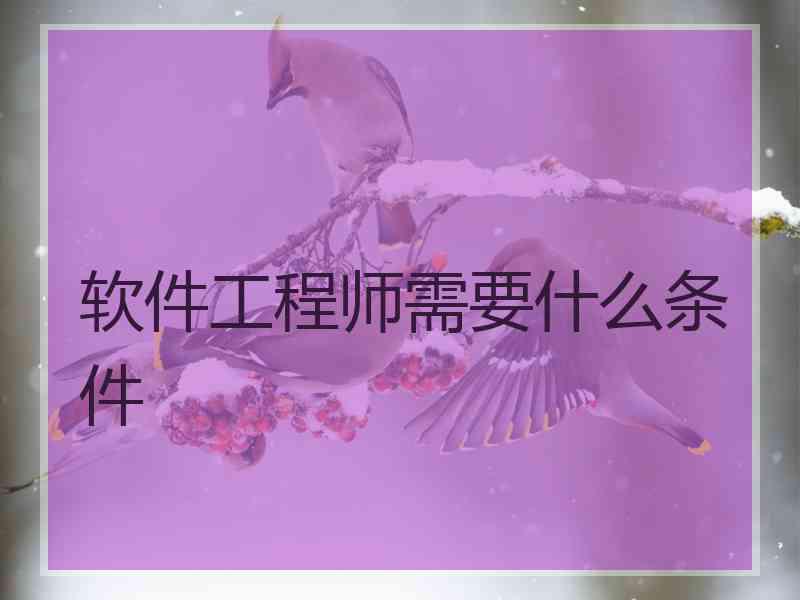 软件工程师需要什么条件