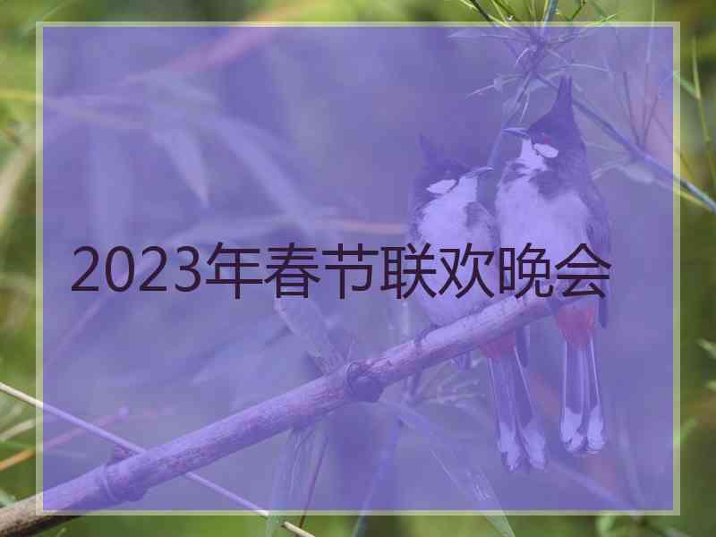 2023年春节联欢晚会