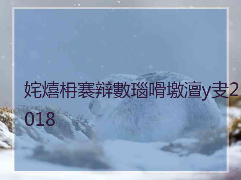 姹熺枏褰辩數瑙嗗墽澶у叏2018