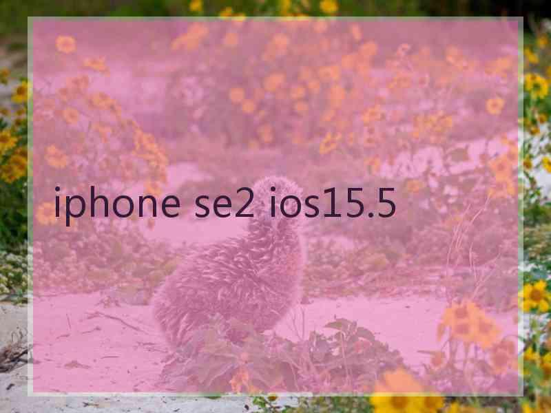 iphone se2 ios15.5