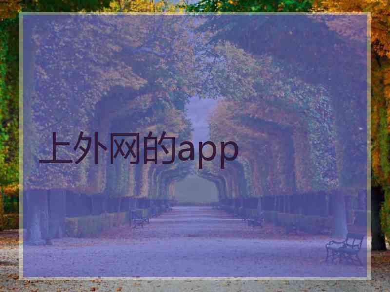 上外网的app